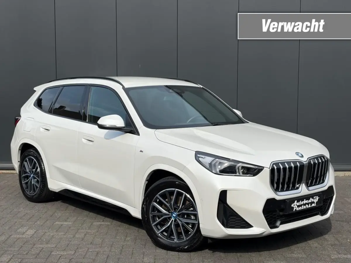 xDrive25e M Sport Shadow Leder LED Camera Cruise E.klep Sfeerlicht