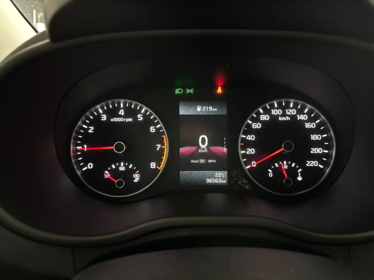 1.0 DPi DynamicLine | CARPLAY | VELGEN ✅ 1e Eigenaar
