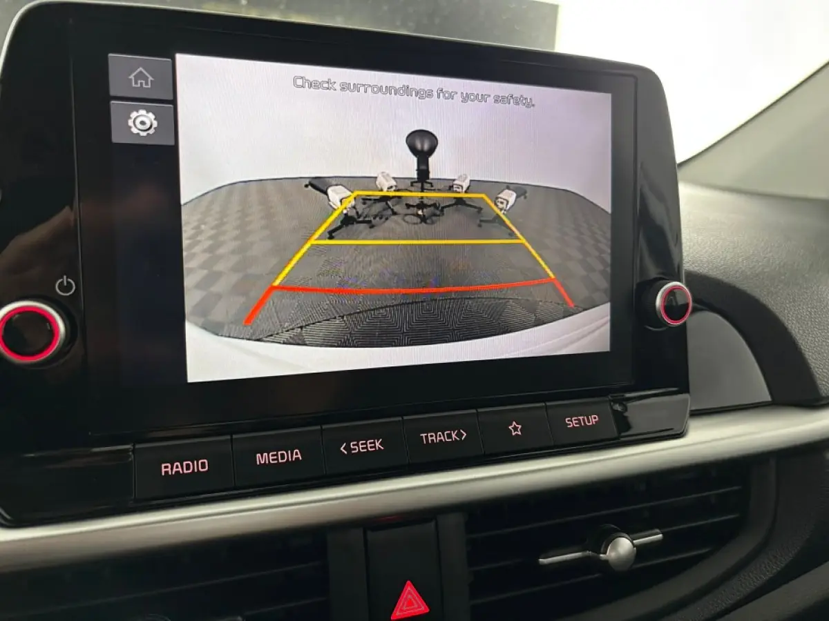 1.0 DPi DynamicLine | CARPLAY | VELGEN ✅ 1e Eigenaar