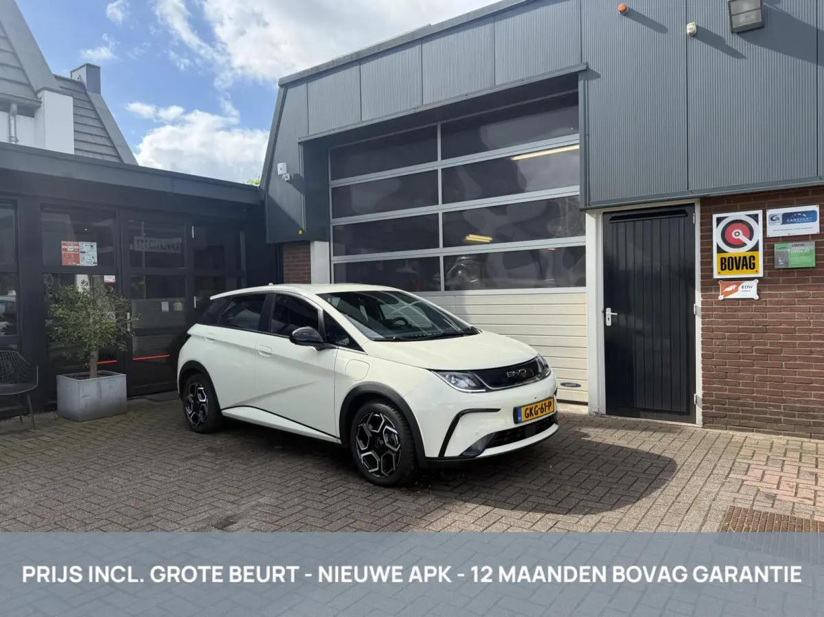 BYD Dolphin 2024 Elektrisch Automatisch leasen