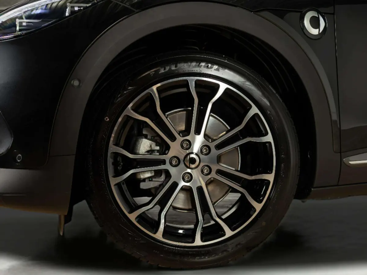 Premium 66 kWh