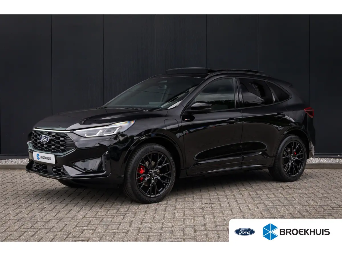 2.5 PHEV ST-Line X | Full options | Black-pack | Matrix LED | Trekhaak