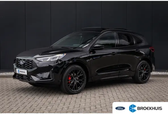 2.5 PHEV ST-Line X | Full options | Black-pack | Matrix LED | Trekhaak