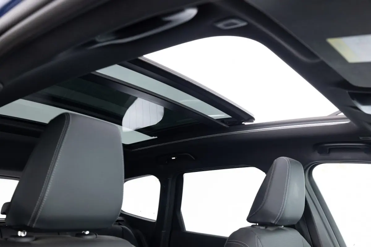 xDrive30 67 kWh | PANORAMADAK | LEDER | SOH 99% | !