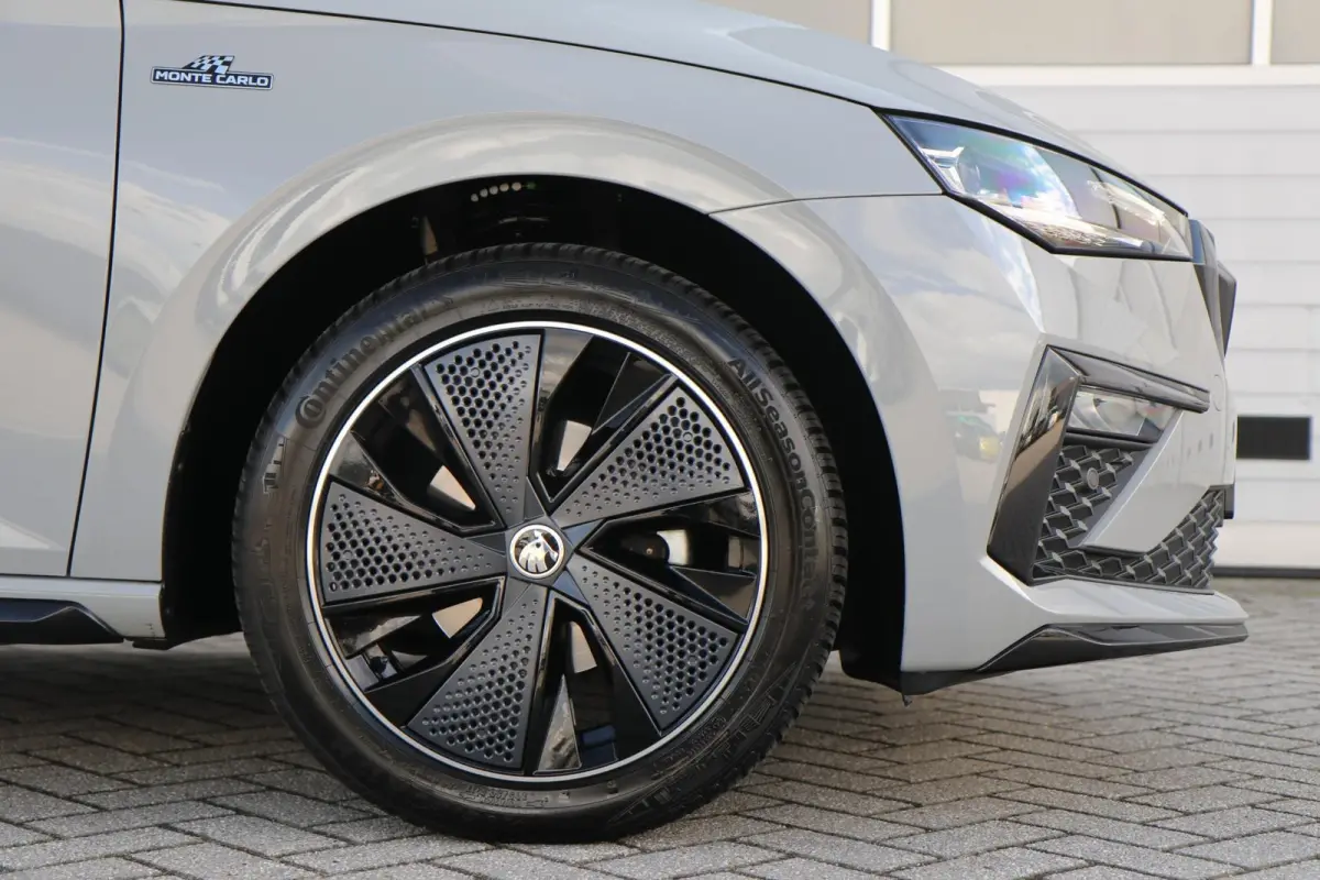 1.0 TSI 110pk Monte Carlo | Panoramadak | Smart Link | Camera | Stoelverwarming