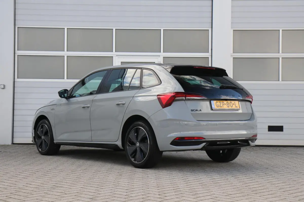 1.0 TSI 110pk Monte Carlo | Panoramadak | Smart Link | Camera | Stoelverwarming
