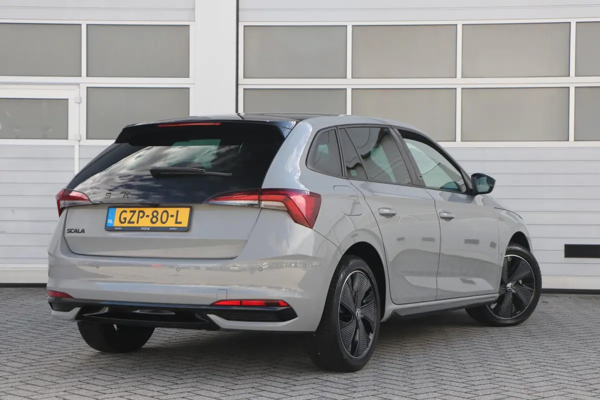 1.0 TSI 110pk Monte Carlo | Panoramadak | Smart Link | Camera | Stoelverwarming