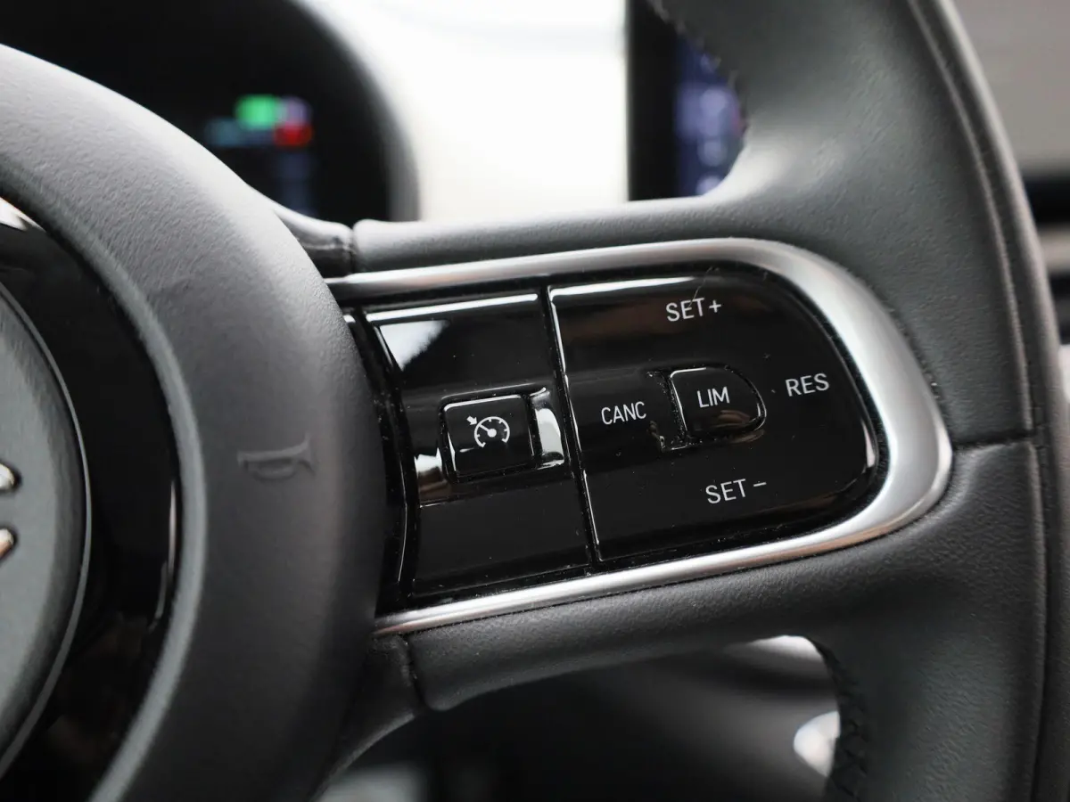 Icon 42 kWh | SOH 93% | APPLE CARPLAY - ANDROID AUTO | CRUISE CONTROL | CLIMATE CONTROL | LICHTMETALEN VELGEN | LED VERLICHTING | MULTIFUNCTIONEEL STUURWIEL |