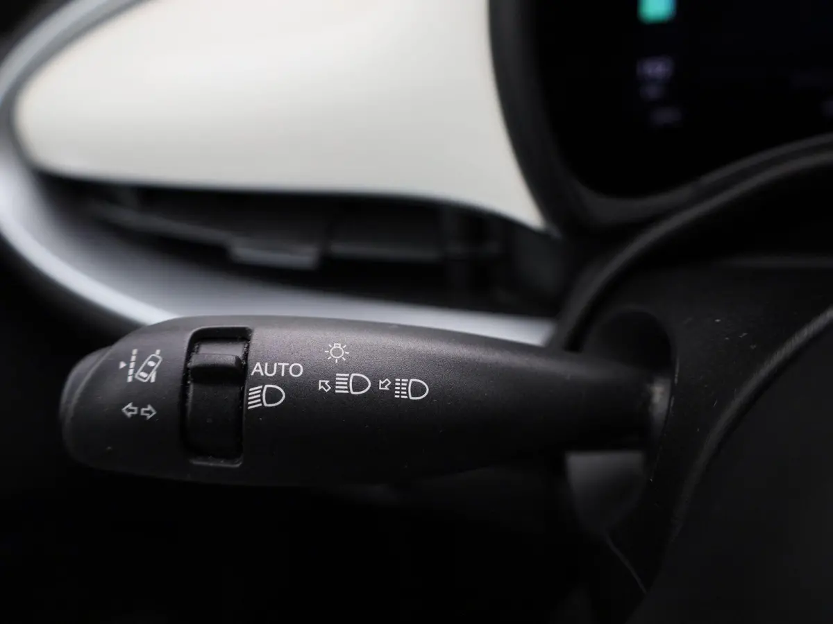 Icon 42 kWh | SOH 93% | APPLE CARPLAY - ANDROID AUTO | CRUISE CONTROL | CLIMATE CONTROL | LICHTMETALEN VELGEN | LED VERLICHTING | MULTIFUNCTIONEEL STUURWIEL |