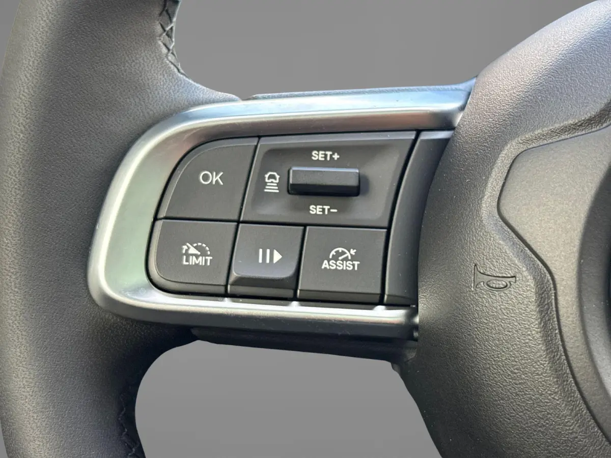 Summit 54 kWh MY'27 | Apple Carplay/ Android Auto | Stoelverwarming | Elektrisch Schuif/kanteldak | LMV 18" |
