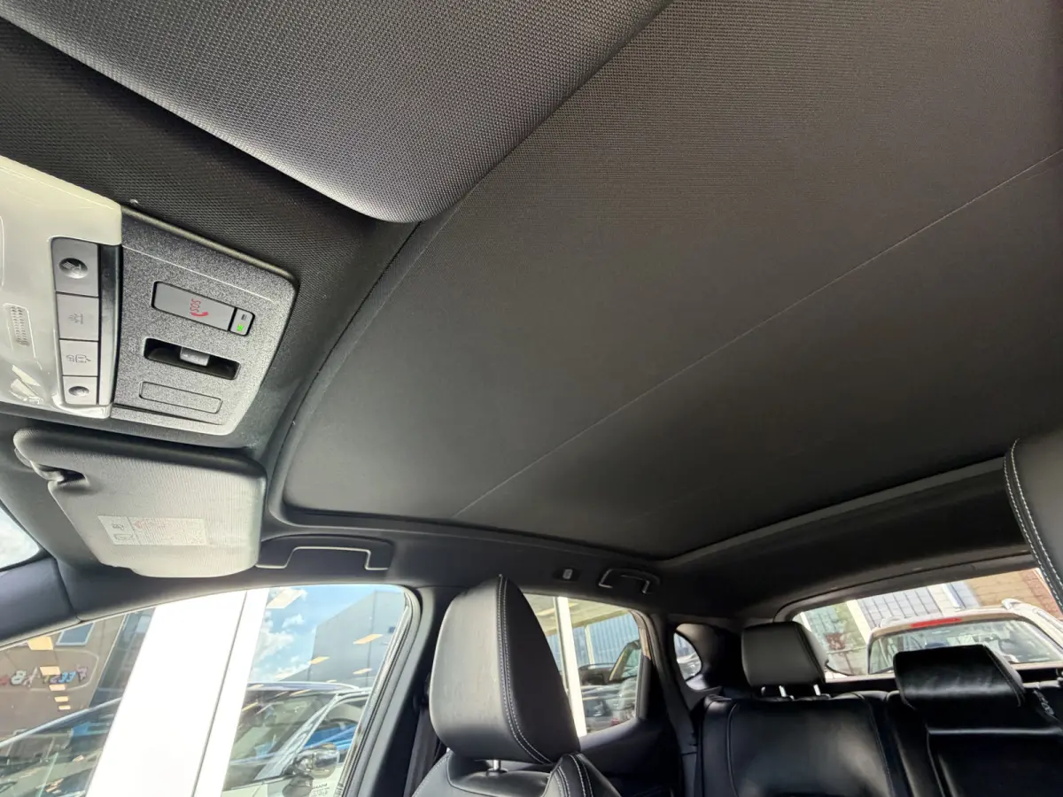 1.3 MHEV Xtronic Tekna Plus Massage | Panorama