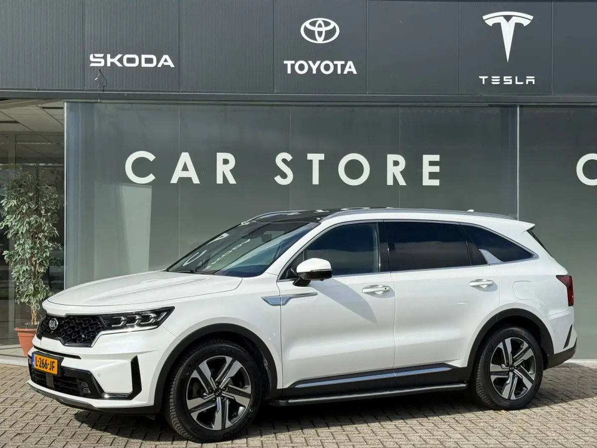 1.6 T-GDI Plug-in Hybrid 4WD ExecutiveLine 7p.