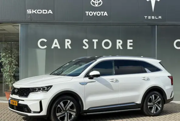 1.6 T-GDI Plug-in Hybrid 4WD ExecutiveLine 7p.