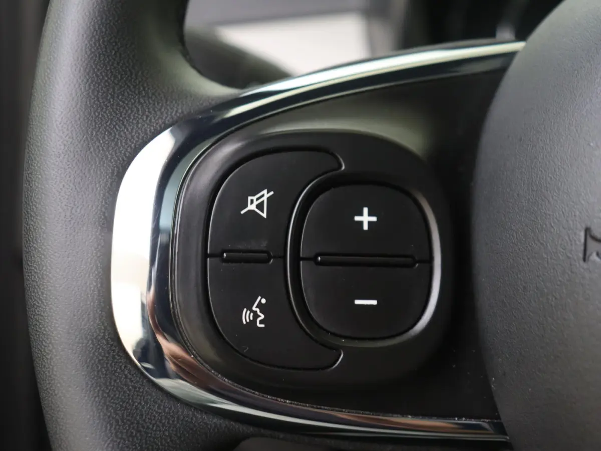 1.0 Hybrid Star | Apple Carplay/Android Auto | Panoramadak | Airconditioning | Lichtmetalen Velgen |
