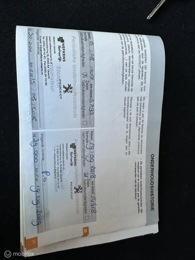 1.2 PureTech Blue Lease Executive,(DB)vervangen