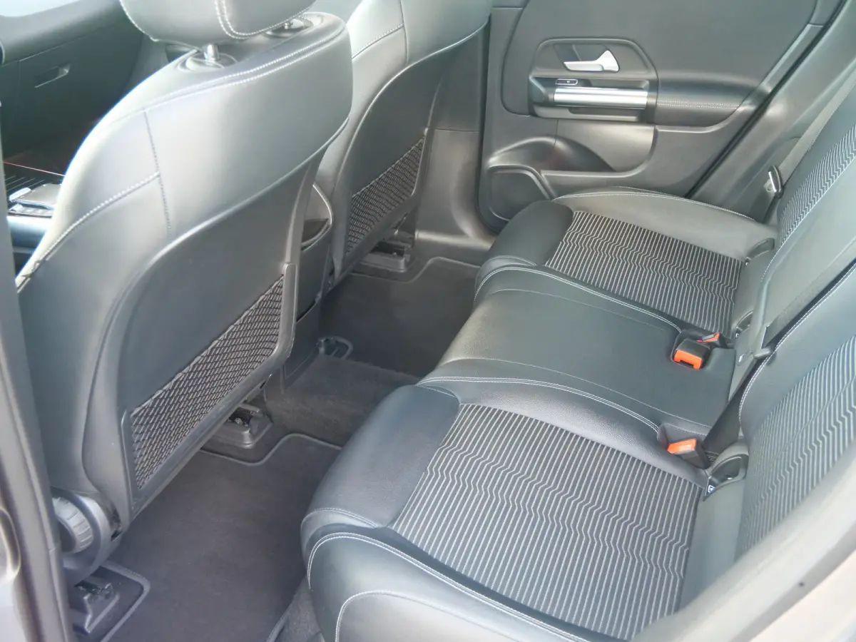 250 Business Line 67 kWh 190 Pk Automaat Navi / DAB / Camera / Trekhaak / SOH 97,5%