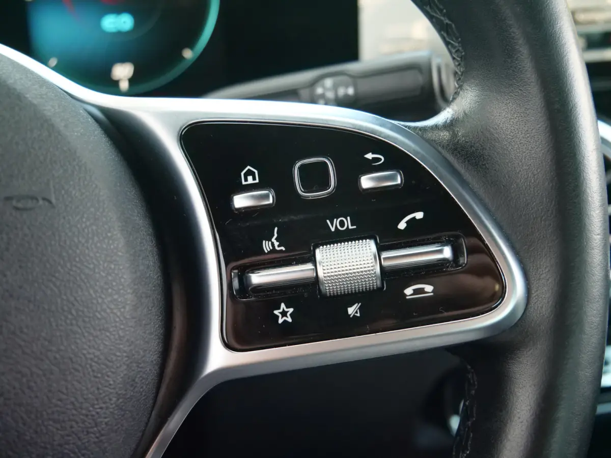 250 Business Line 67 kWh 190 Pk Automaat Navi / DAB / Camera / Trekhaak / SOH 97,5%