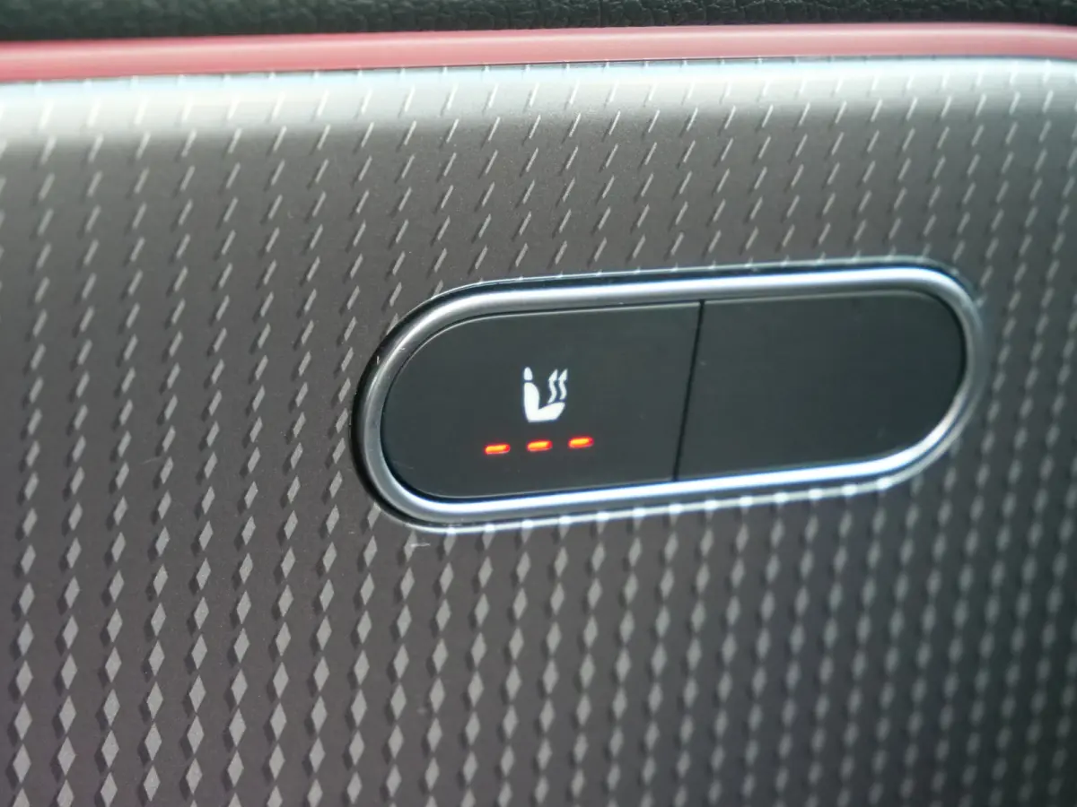 250 Business Line 67 kWh 190 Pk Automaat Navi / DAB / Camera / Trekhaak / SOH 97,5%