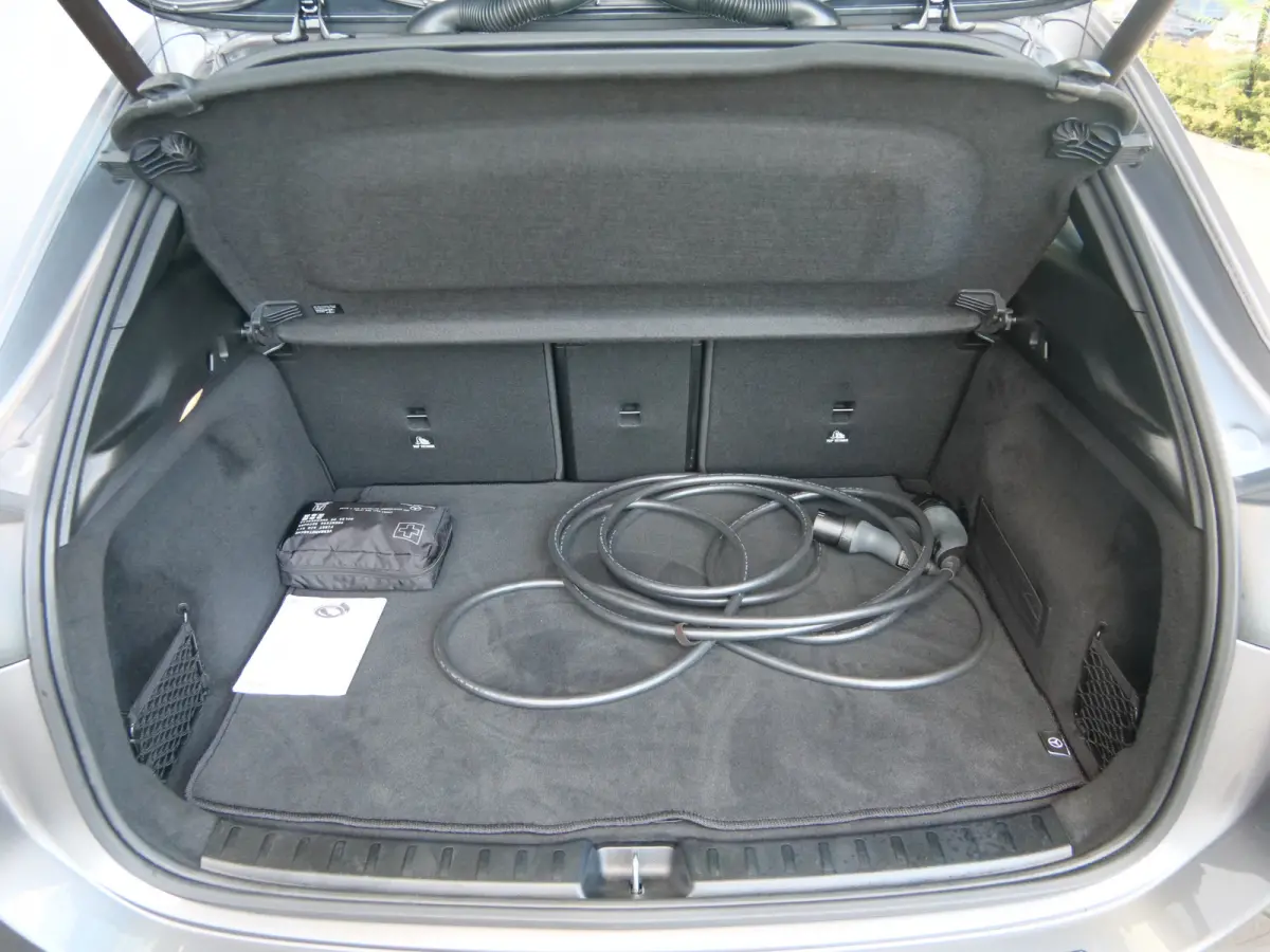 250 Business Line 67 kWh 190 Pk Automaat Navi / DAB / Camera / Trekhaak / SOH 97,5%
