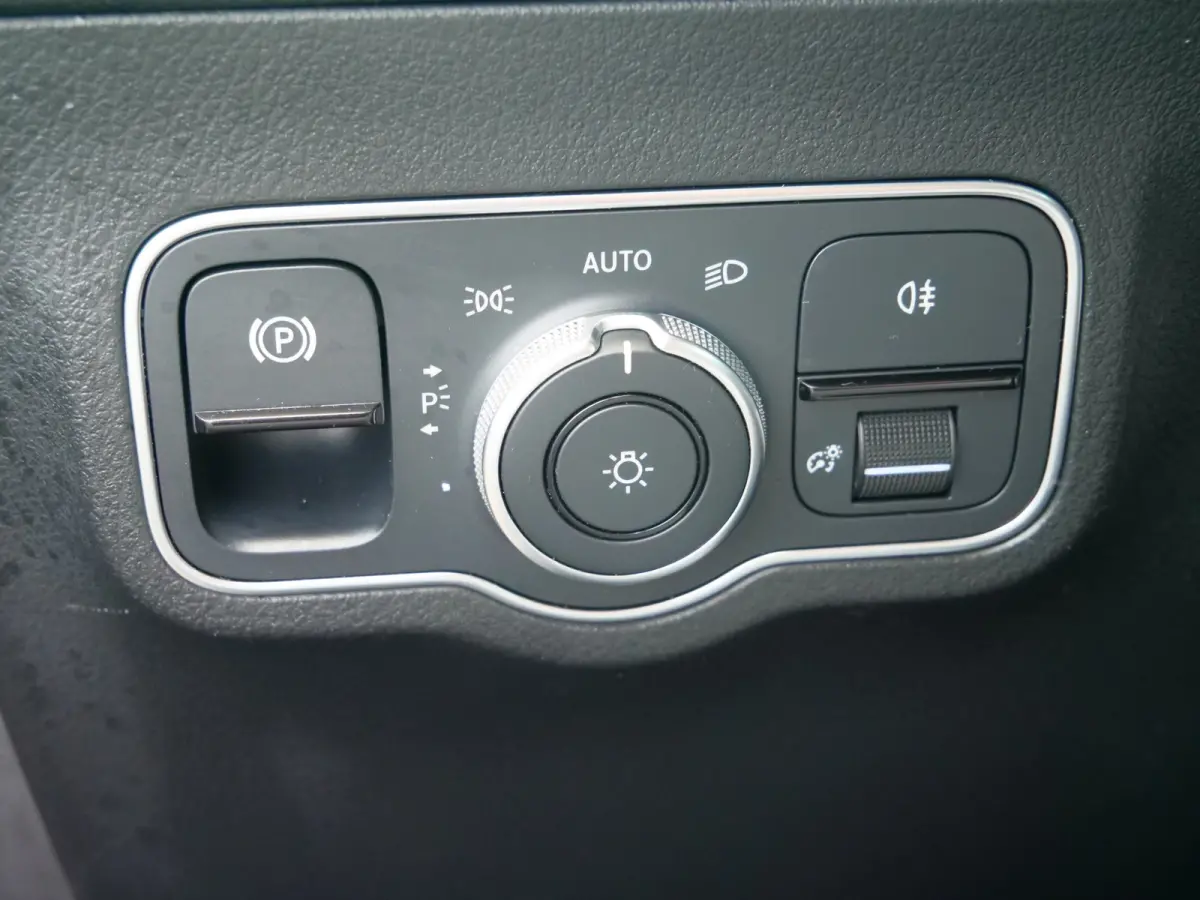 250 Business Line 67 kWh 190 Pk Automaat Navi / DAB / Camera / Trekhaak / SOH 97,5%