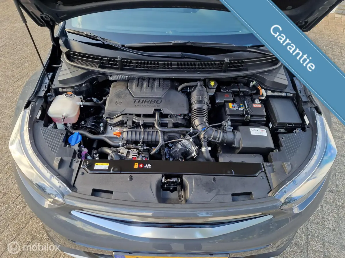1.0 T-GDi MHEV DynamicLine