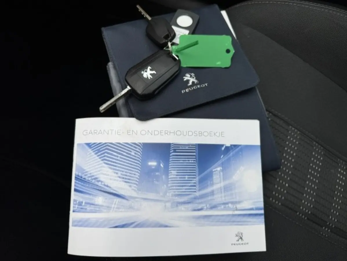 1.2 Automaat - Trekhaak - LED - Panorama dak