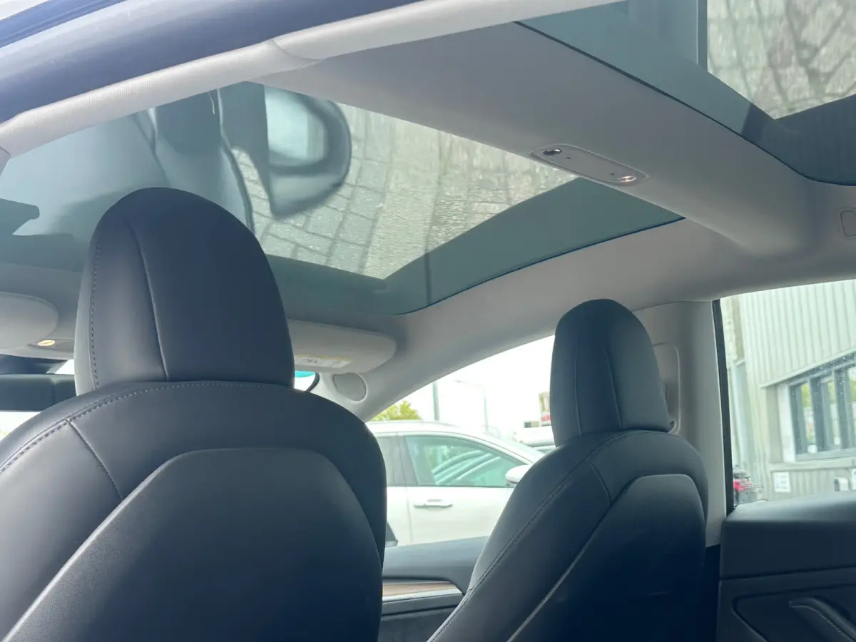 Standard RWD Plus 60 kWh SOH 93 % LFH Facelift