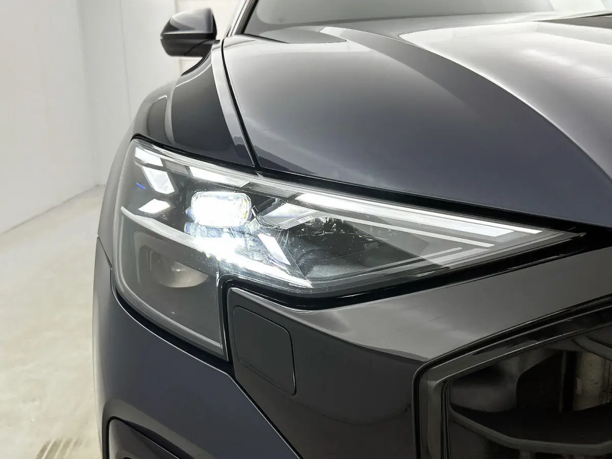 55 TFSI e quattro Pro Line S 394 PK |