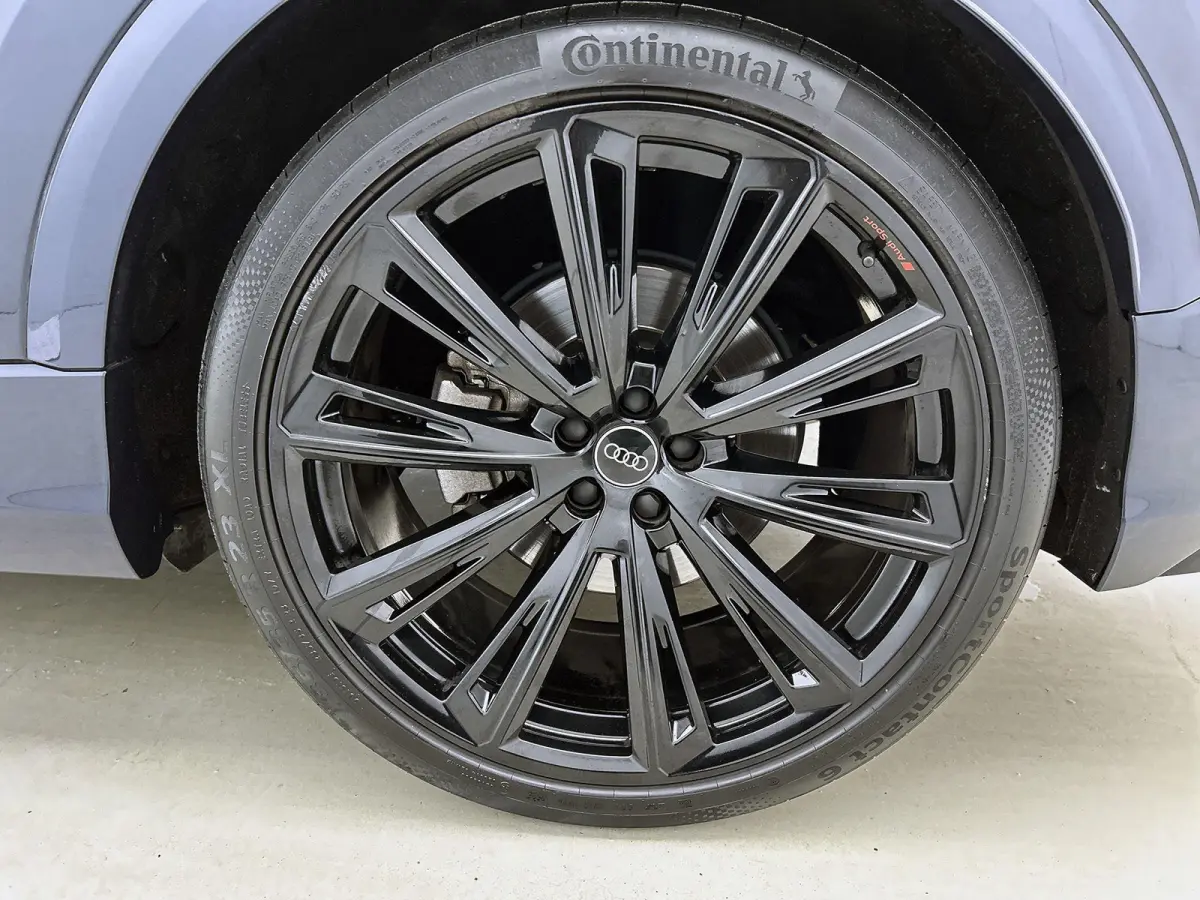 55 TFSI e quattro Pro Line S 394 PK |