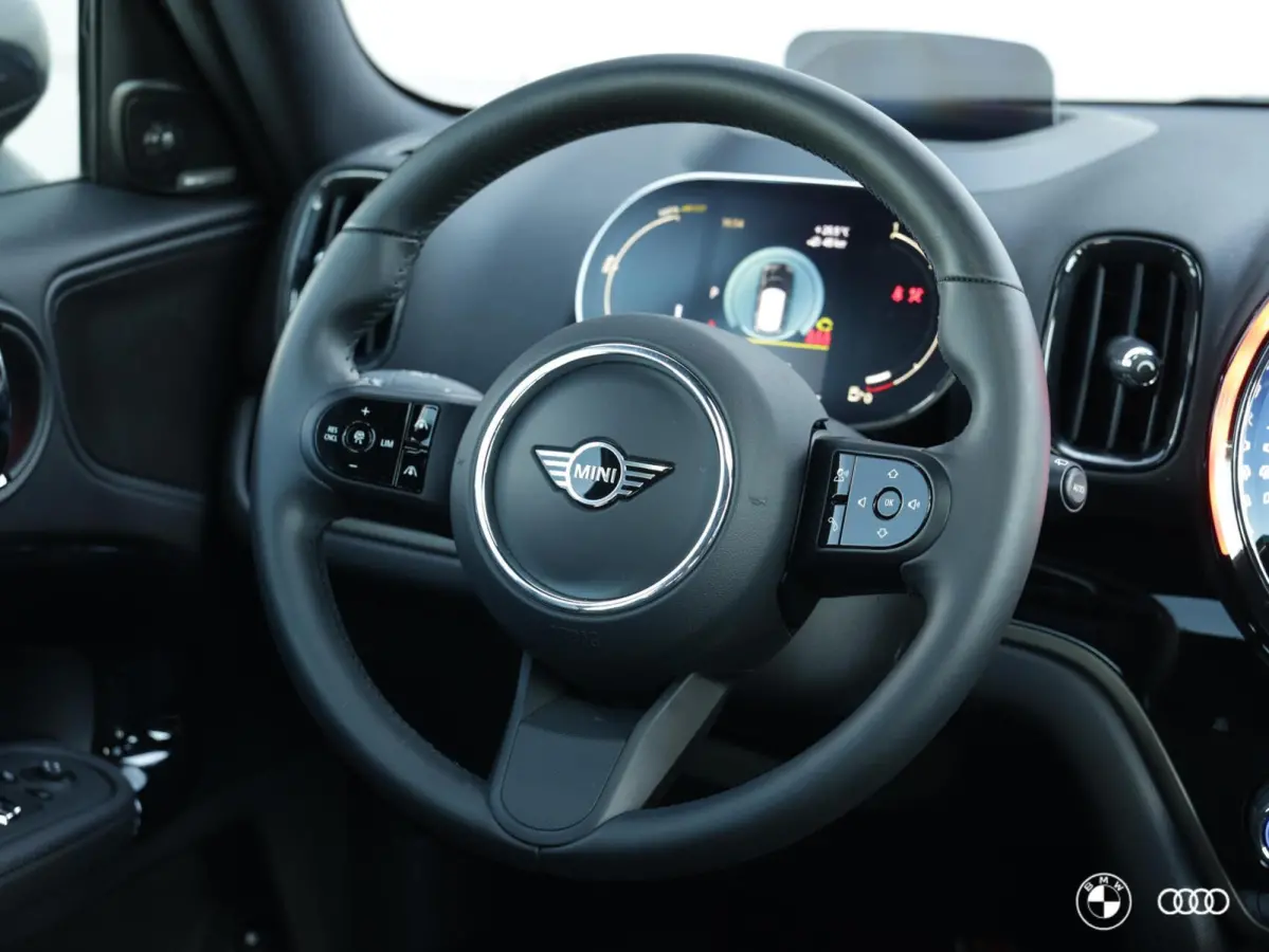 COOPER SE ALL4 / LEDER / LED / HUD / MEMORY / KEYLESS / CAMERA
