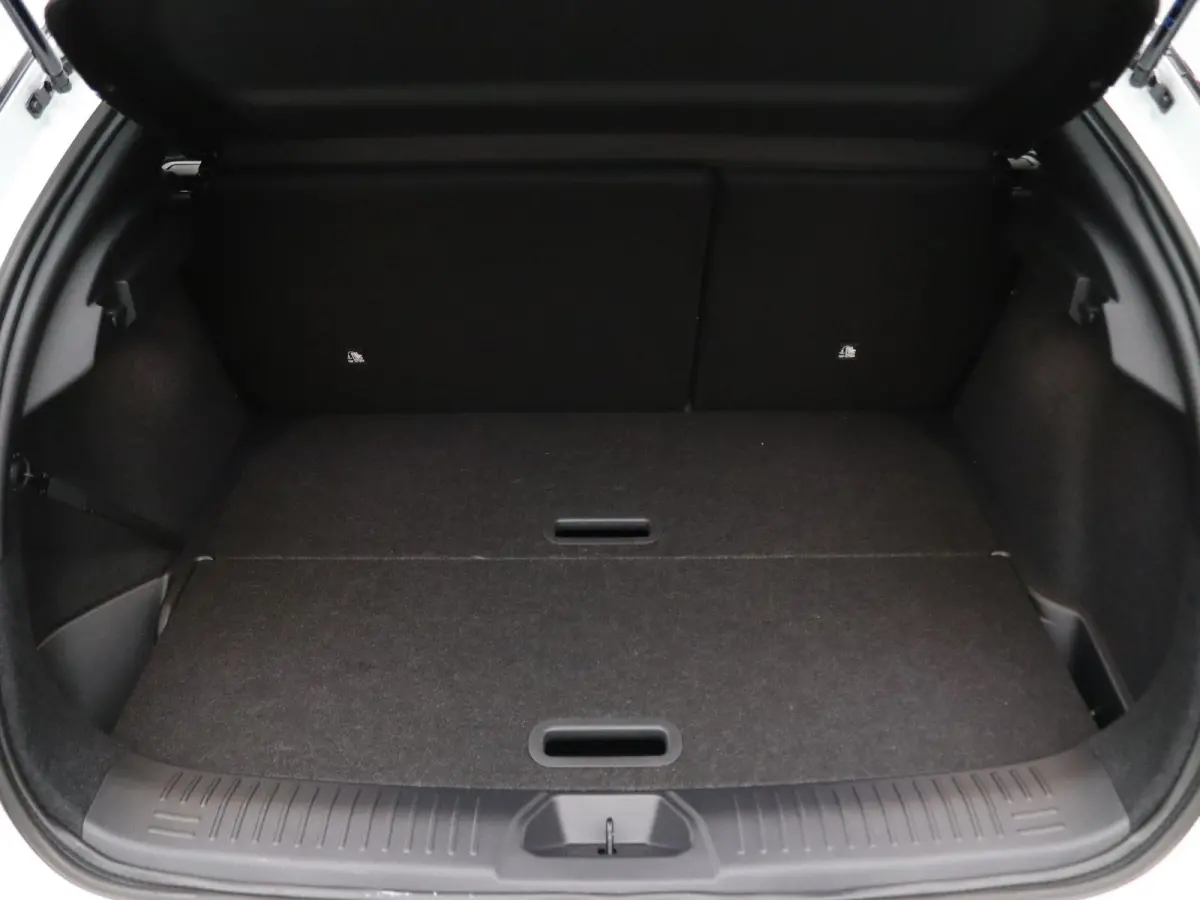 Business Edition 75 kWh Apple Carplay/Android Auto | Climate