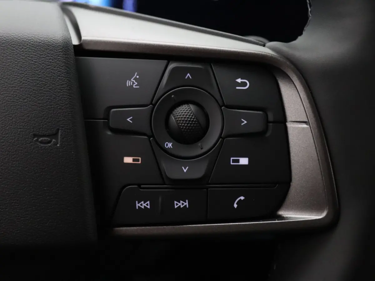 Business Edition 75 kWh Apple Carplay/Android Auto | Climate