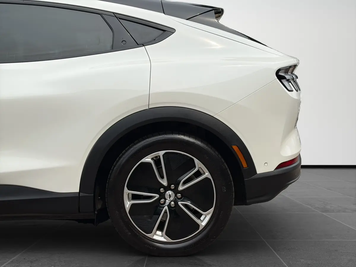 RWD 75 kWh 269pk | Camera v&a | Adaptive Cruise | Winter Pack | Star White Metallic |