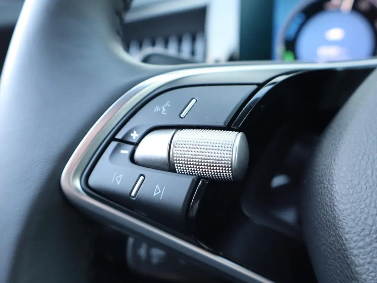 1.5 TSI 204pk PHEV Edition | SoH 100% | Trekhaak | Canton Audio