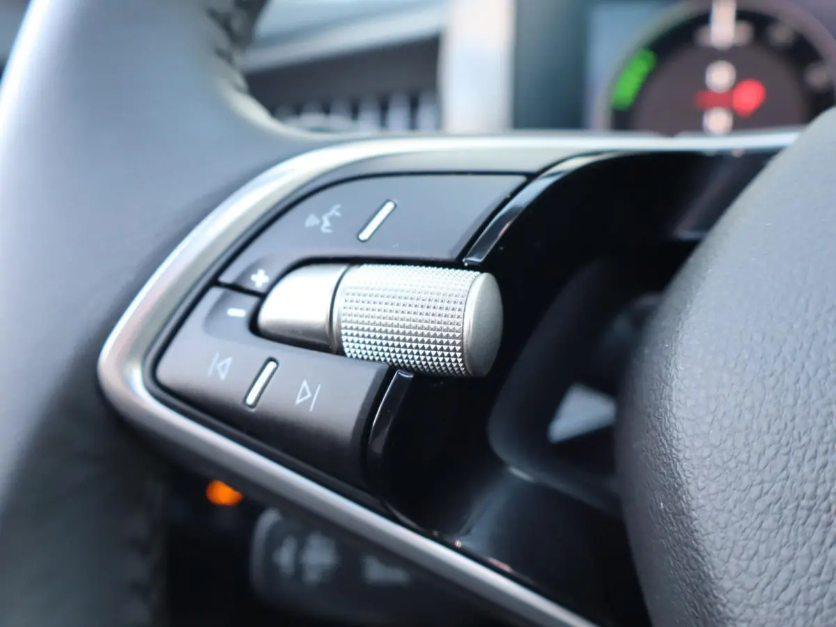 1.5 TSI 204pk PHEV Edition | SoH 100% | Panoramadak | Dynamic Chassis Control