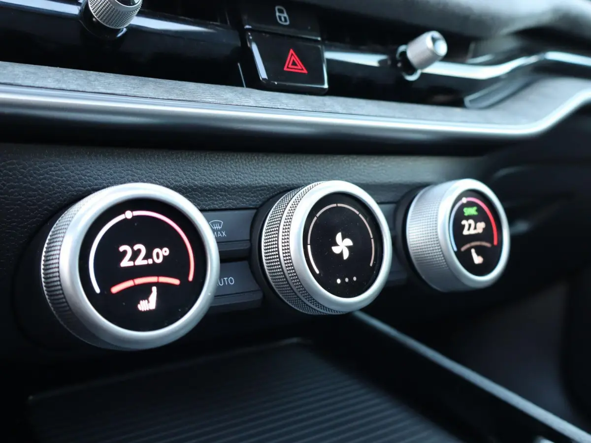 1.5 TSI 204pk PHEV Edition | SoH 100% | Panoramadak | Dynamic Chassis Control