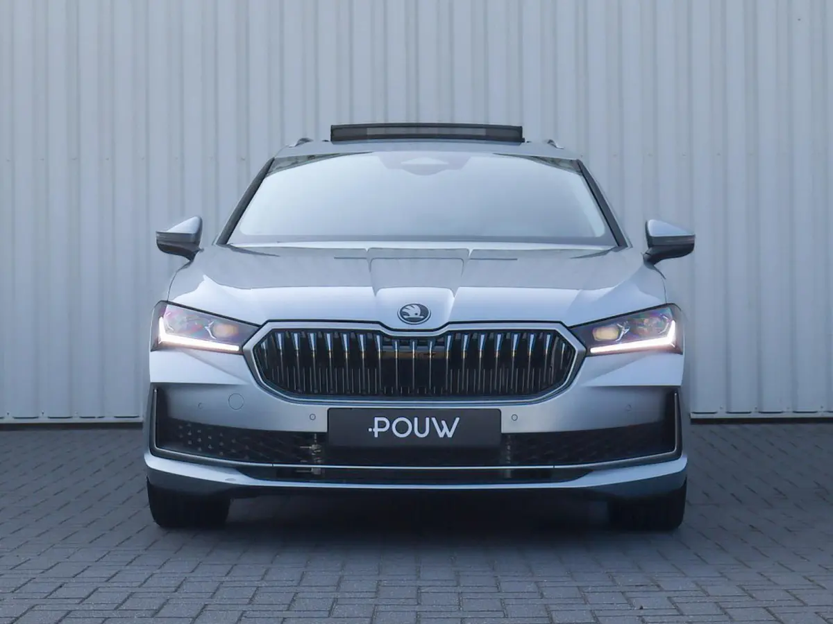 1.5 TSI 204pk PHEV Edition | SoH 100% | Panoramadak | Dynamic Chassis Control