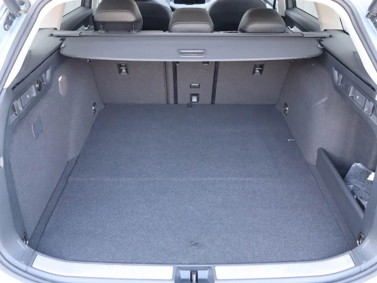 1.5 TSI 204pk PHEV Edition | SoH 100% | Panoramadak | Dynamic Chassis Control
