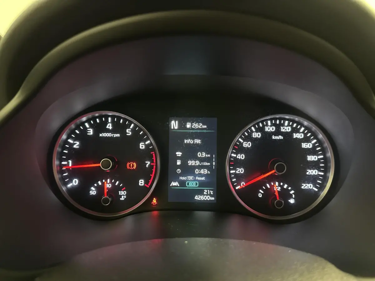 1.0 T-GDi MHEV DynamicLine CARPLAY NAVI CRUISE 42000 KM.