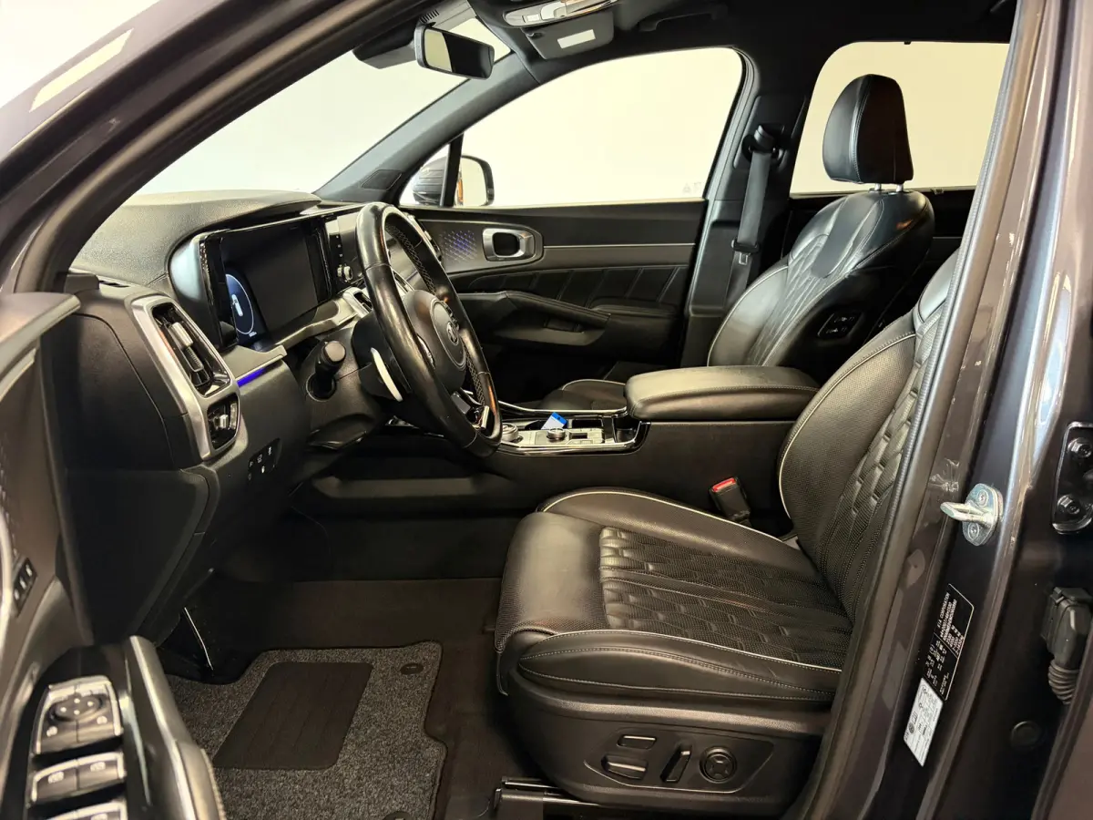 1.6 T-GDI Plug-in Hybrid 4WD ExecutiveLine*Head-up*Winter-Pakket*Leder*Trekhaak*