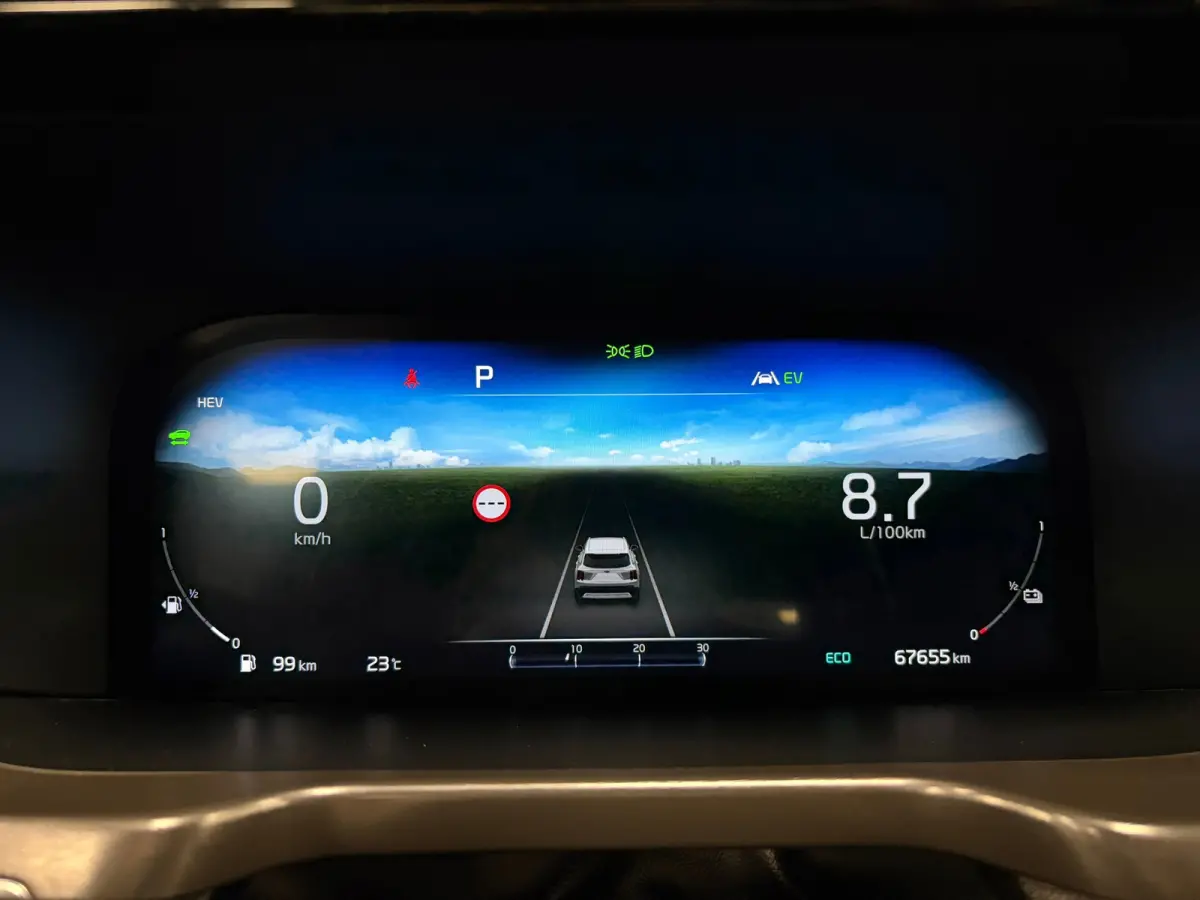1.6 T-GDI Plug-in Hybrid 4WD ExecutiveLine*Head-up*Winter-Pakket*Leder*Trekhaak*