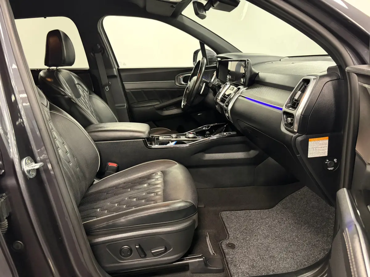 1.6 T-GDI Plug-in Hybrid 4WD ExecutiveLine*Head-up*Winter-Pakket*Leder*Trekhaak*