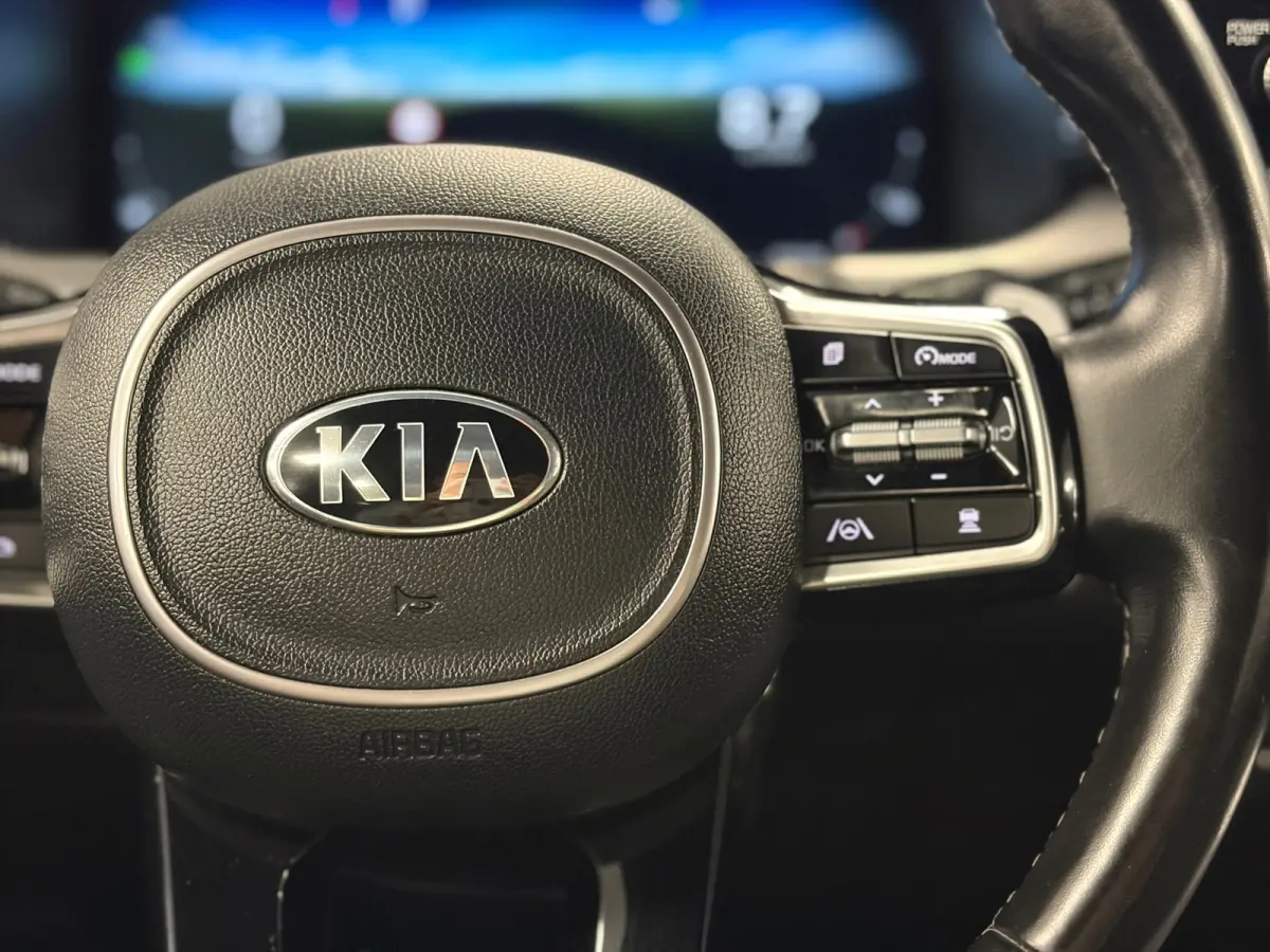 1.6 T-GDI Plug-in Hybrid 4WD ExecutiveLine*Head-up*Winter-Pakket*Leder*Trekhaak*