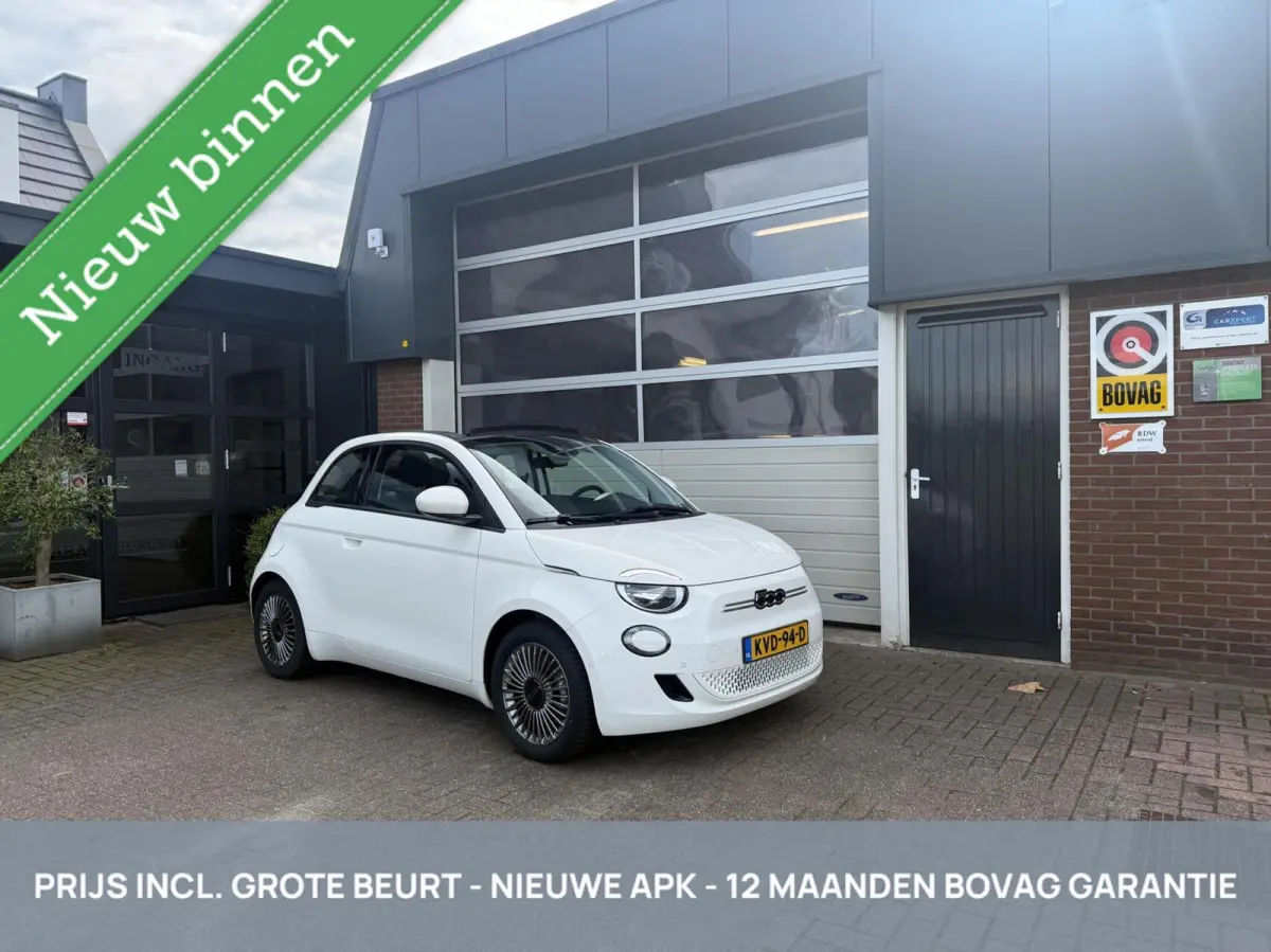 Icon 42 kWh SOH 97% CARPLAY/STOELVERW *ALL-IN PRIJS*