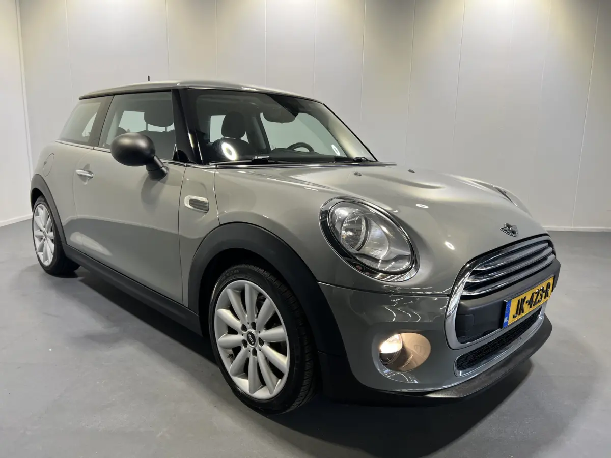1.2 One Salt Business | Navigatie | LM Velgen 17" | Cruise Control | PDC Achter | Airco |