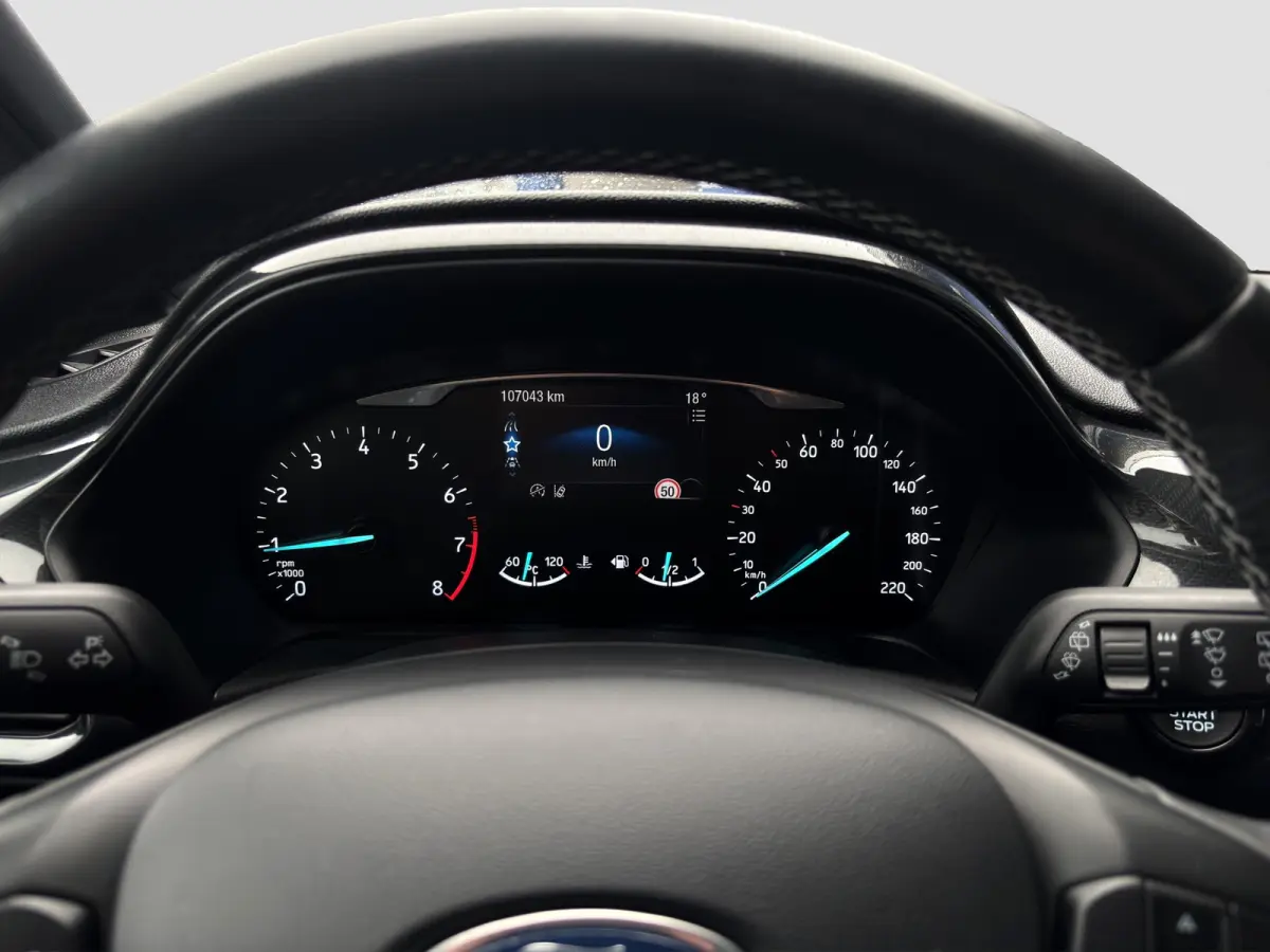 1.0 Active First Edition | Trekhaak | Adap. Cruise | B&O Audio | Apple Carplay | Navigatie
