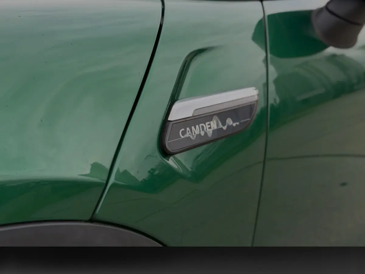 Camden Edition 33 kWh SoH 96% (NL-auto, 1e Eig, Dealer OndH, Carplay, StoelV, PDC, Navi, ClimateCon, CruiseCon, Etc)