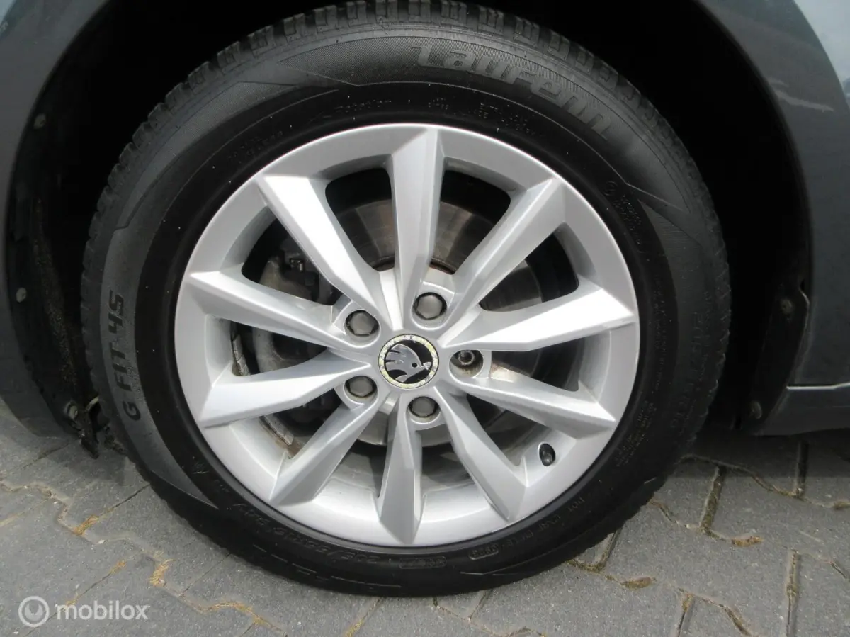 1.0 TSI Greentech Ambition Business 135dkm
