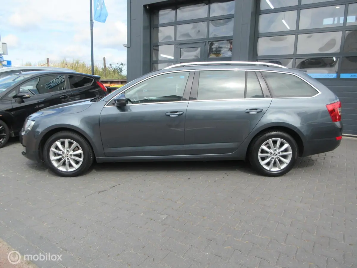 1.0 TSI Greentech Ambition Business 135dkm