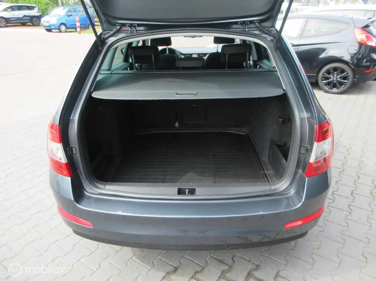 1.0 TSI Greentech Ambition Business 135dkm